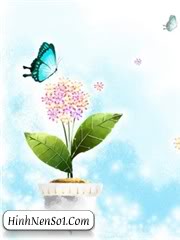 Hình nền bướm và hoa