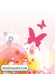 Hình nền bướm và hoa